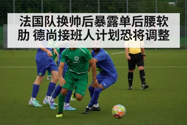 法国队换帅后暴露单后腰软肋 德尚接班人计划恐将调整